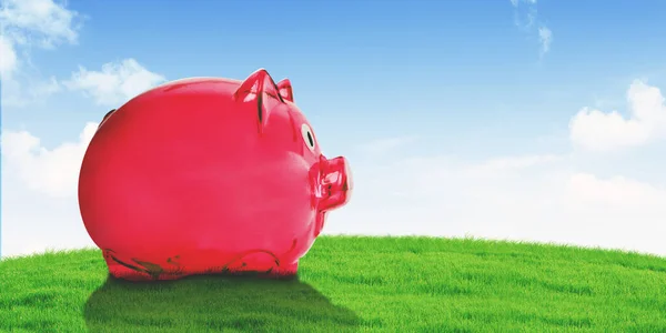 Image Big Pink Piggy Bank Meadow Blue Sky Background — Stock Photo, Image