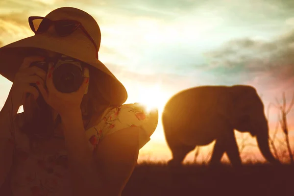 Jonge Vrouw Met Behulp Van Een Digitale Camera Foto Olifant — Stockfoto