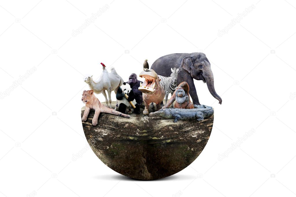 World wildlife day concept. Group of wildlife animals on the rock island. Isolated on white background