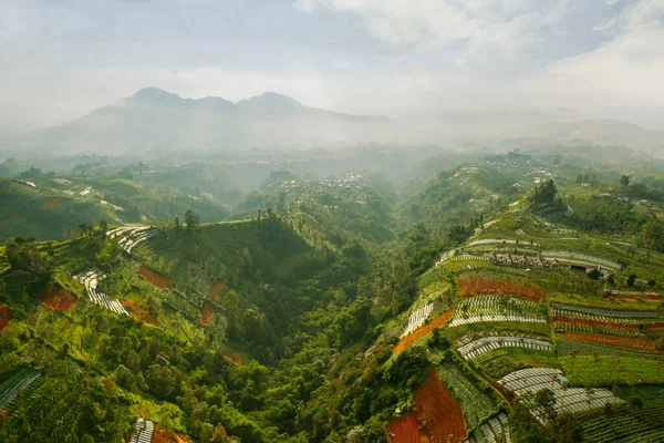 Piękny Widok Góry Silancur Mglistym Tle Górskim Strzelanina Magelang Jawa — Zdjęcie stockowe