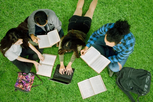 Visão Cima Para Baixo Estudantes Universitários Estudando Juntos Enquanto Sentados — Fotografia de Stock