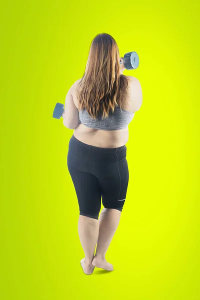 Rear View Fat Woman Exercising Two Dumbbells While Standing Studio — стоковое фото