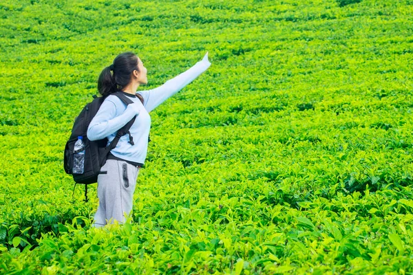Female Hiker Pointing Out Tea Plantation While Enjoying Holiday Nature — Stock Photo, Image