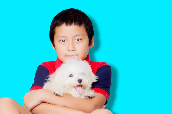 Little Boy Hugging Maltese Dog While Standing Studio Tosca Background — Fotografia de Stock