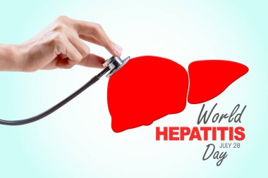 Stüdyodaki karaciğer organını kontrol etmek için stetoskop kullanarak doktor elini kapat. Beyaz grupta izole edilmiş.