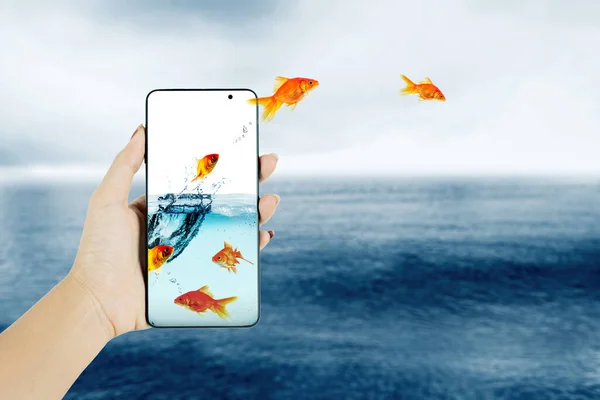 Group Goldfish Jumping Cellphone Sea Misty Morning —  Fotos de Stock