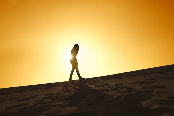 Silhouette Sad Businesswoman Walking Desert Sunlight Dusk Background — Zdjęcie stockowe
