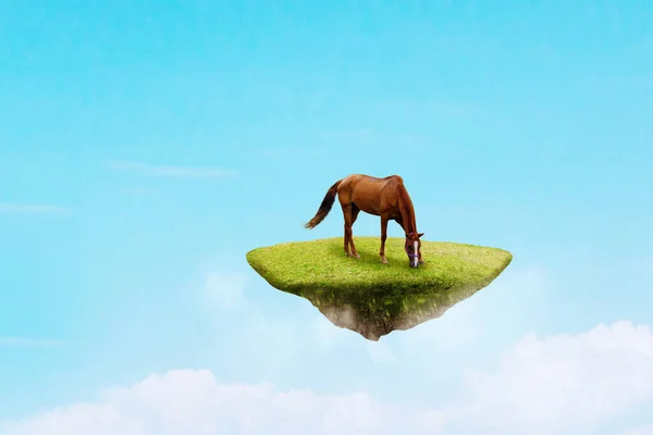 Caballo Marrón Pastando Isla Flotante Con Fondo Azul Del Cielo — Foto de Stock