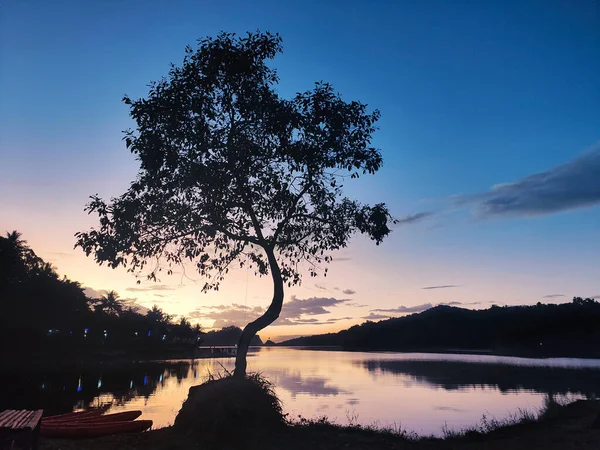 Piękne Krajobrazy Zbiornika Wodnego Sermo Sylwetką Drzewa Zmierzchu Yogyakarta Indonezja — Zdjęcie stockowe