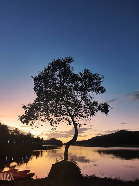 Sylwetka Drzewa Tłem Zbiornika Sermo Zmierzchu Yogyakarta Indonezja — Zdjęcie stockowe