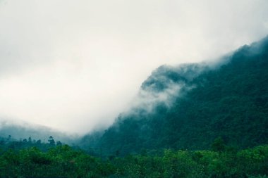 Sukabumi, Batı Java, Endonezya 'daki Pangrango dağının sisli manzarası