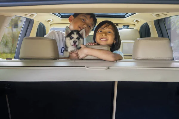 2人の幸せな子供が犬を抱きかかえて車椅子に座って ロードトリップの準備ができている間 — ストック写真