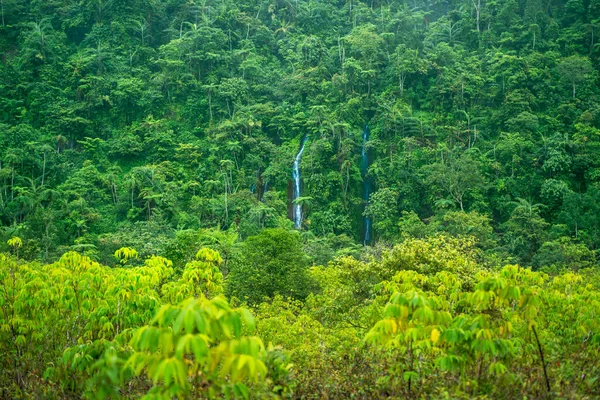 Aerial View Green Forest Waterfall Sukabumi West Java Indonesia — Stock Photo, Image