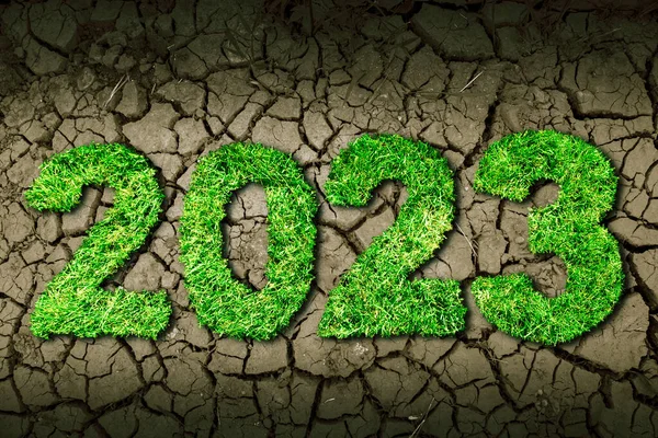 Horní Pohled Zelenou Trávu Formující Číslo 2023 Zaschlé Půdě — Stock fotografie