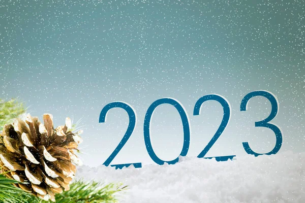 Köknar Ağacının Dalına Çam Kozalağı Yakın 2023 Numara Kış Vakti — Stok fotoğraf