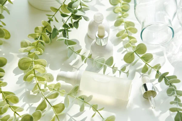 Kozmetikai Palack Tartályok Csomagolás Zöld Gyógynövény Levelek Árnyék Fényhatás Üres — Stock Fotó