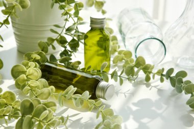 Gölge ve ışık efektli yeşil bitkisel yapraklarla paketlenmiş yeşil kozmetik şişe kapları, organik markalaşma modeli için boş etiket, doğal cilt ürünü konsepti.