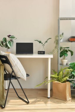 Ana ofis, masa üzerinde yeşil doğa ağacı bitkileri, çalışma alanı ve dizüstü bilgisayar, ev ve oturma odası içi yapay ev bitkisi ile dekore edildi..