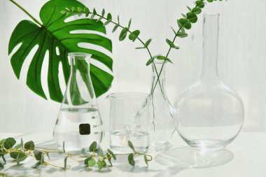 Doğal ilaç araştırmaları, kozmetik, alternatif yeşil bitki ilaçları için bilimsel laboratuvarda bitki alımı, minimum organik cilt bakımı..