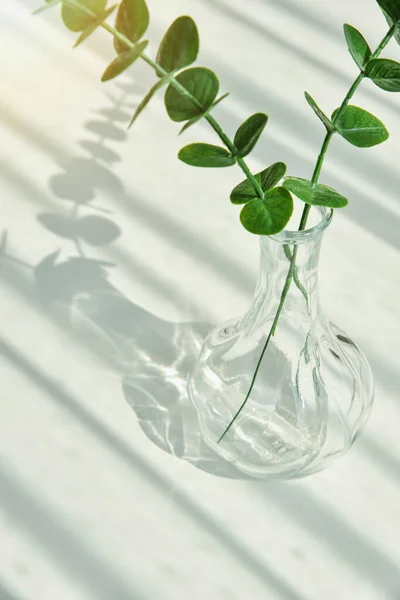 Flower Vase Glass Reflect Sunlight Shadow Effect Summer Still Life — Stock Photo, Image