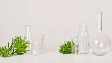 Natural drug research banner, Organic and scientific extraction in glassware, Alternative green herb medicine, Natural skincare beauty products, Laboratory and development concept.