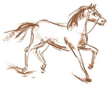 Horse. Hand-drawn