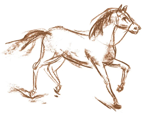 Horse. Hand-drawn — Stok fotoğraf