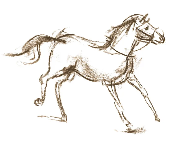 Horse. Hand-drawn — Stok fotoğraf