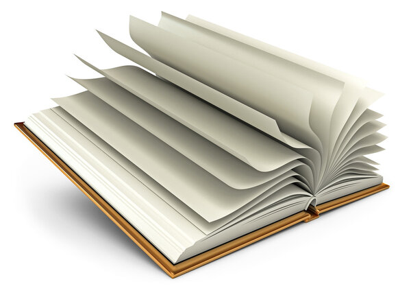 Открытая белая книга
