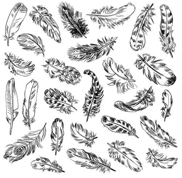 Freehand drawing quill — Stock Photo, Image