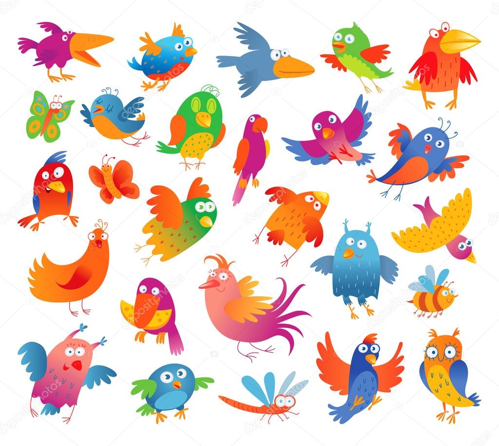 Funny colorful birdies