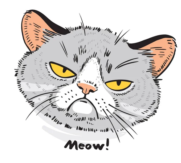 Ritratto Gatto Disegnato Mano Faccia Gatto Triste Personaggi Dei Cartoni — Vettoriale Stock