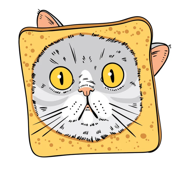 Kočičí Portrét Tvář Překvapené Kočky Kusu Chleba Kreslené Postavy Vtipná — Stockový vektor