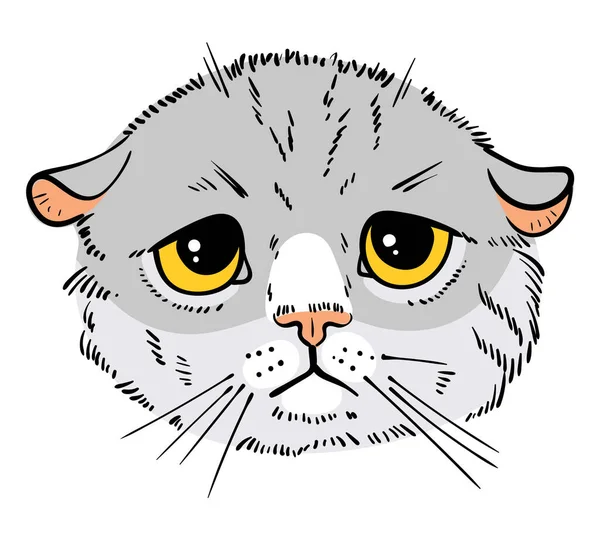 Katzenporträtzeichnung Traurige Katze Zeichentrickfiguren Lustige Vektorillustration Isoliert Auf Weißem Hintergrund — Stockvektor