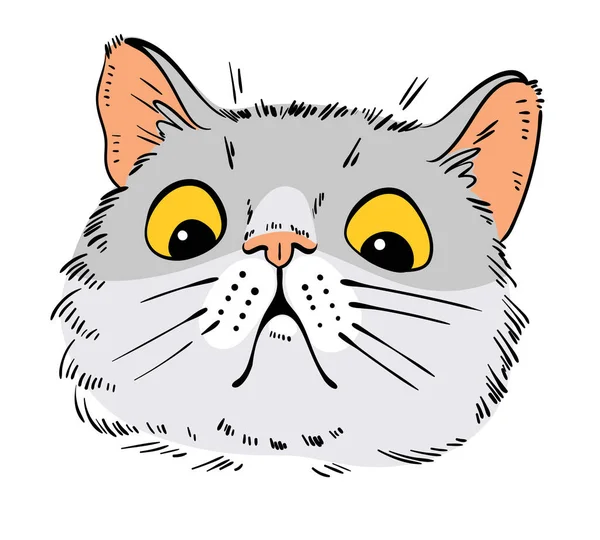 Katzenporträtzeichnung Schockierte Katze Zeichentrickfiguren Lustige Vektorillustration Isoliert Auf Weißem Hintergrund — Stockvektor