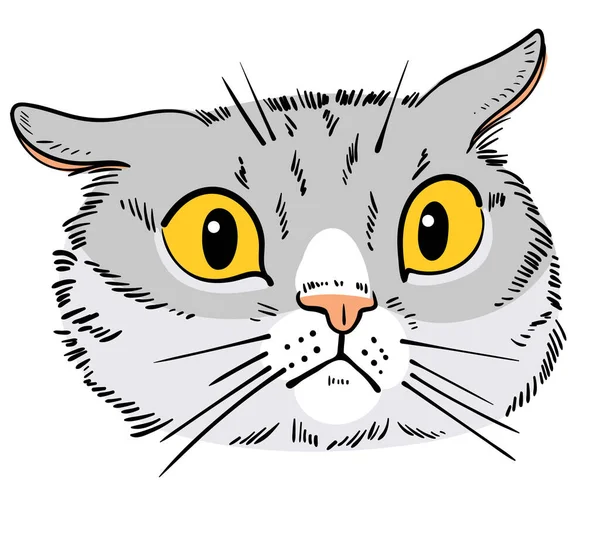 猫の肖像画 すごい猫だ 漫画のキャラクター 面白いベクトルイラスト 白地に隔離された — ストックベクタ