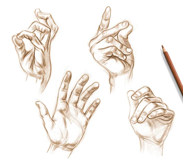 Sketches of human hands from nature. Drawing with pencil —  Fotos de Stock