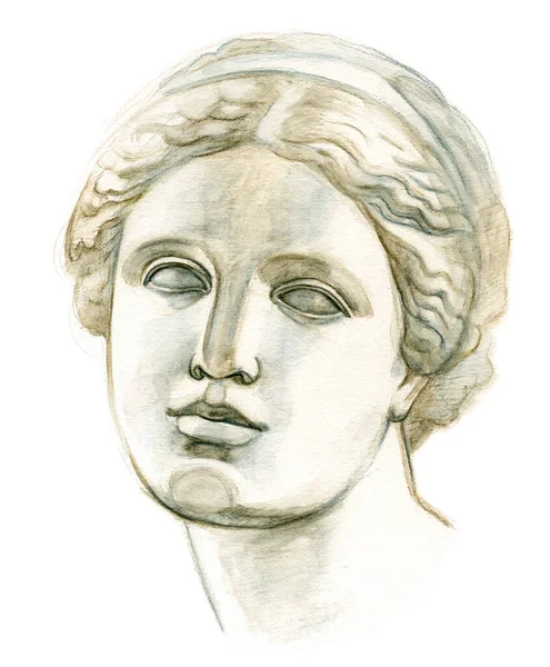 Antique plaster head Venus — Fotografia de Stock