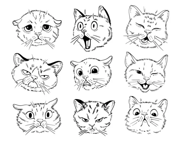 Cat portrait drawing. Black and white cartoon characters. Set — Stock Vector