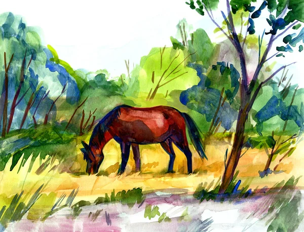Koń Trawiący Krajobraz Drzewami Rysunek Akwarelą — Zdjęcie stockowe