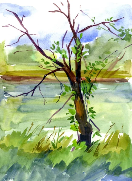 Krajobraz Drzewem Ręczny Rysunek Akwarelą — Zdjęcie stockowe