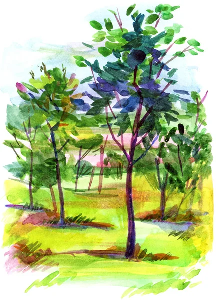 Landscape With Trees. Freehand drawing with Watercolor