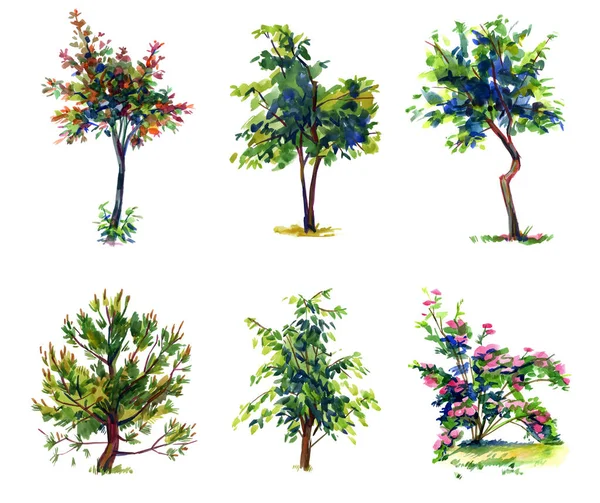 Trees Set Drawing Watercolor Isolated White Background — Fotografia de Stock