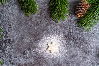 Çam kozalağı gri arka planda yeşil çam ağacı dalına yerleştirilir. Kış ve Noel süslemesi.