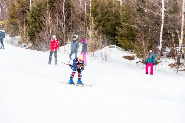Tatranska Lomnica, Slovakya - 4.2.2022: Slovakya 'nın High Tatras bölgesinde kayak ve snowboard yarışması 
