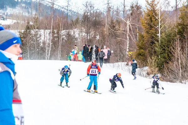 Tatranska Lomnica Slovakia 2022 Лыжный Сноуборд Конкурс Zjazd Nadoraz Высоких — стоковое фото