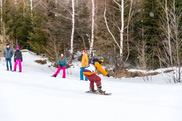 Tatranská Lomnica Slovensko 2022 Lyžařská Snowboardová Soutěž Zjazd Nadoraz Vysokých — Stock fotografie