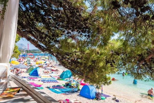 Makarska Chorwacja 2021 Ludy Plaży Makarskiej Chorwacja Sosna Pierwszym Planie — Zdjęcie stockowe
