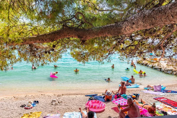 Makarska Croácia 2021 Povos Praia Cidade Makarska Croácia Pinheiro Primeiro — Fotografia de Stock