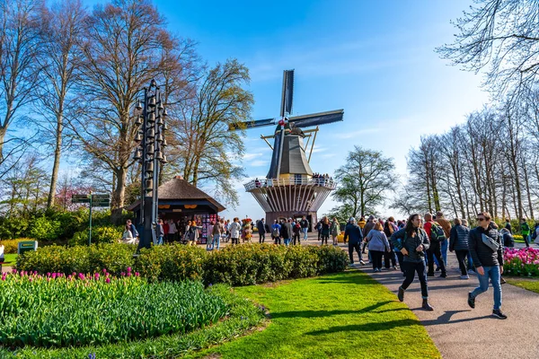 Lisse Países Bajos 2022 Los Turistas Están Visitando Jardín Keukenhof — Foto de Stock
